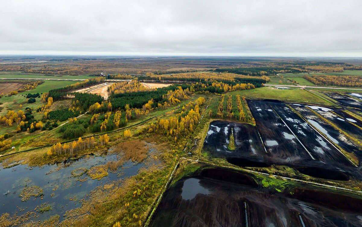 Торфяник Докудовское. Фото ПРООН в Беларуси