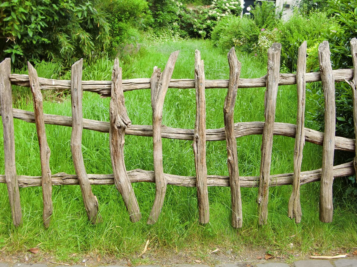 деревянный забор раст фото 66