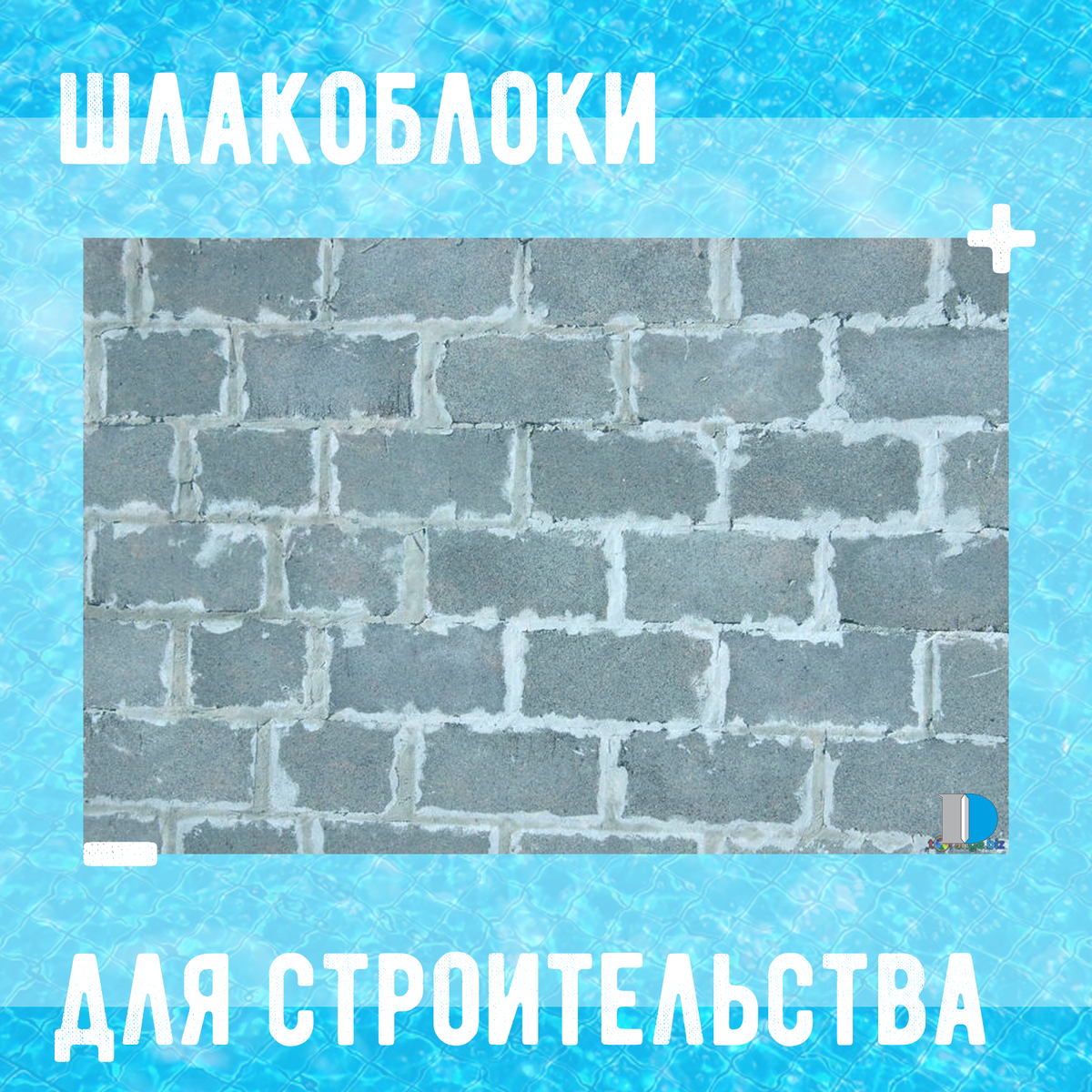 фото из нашей группы