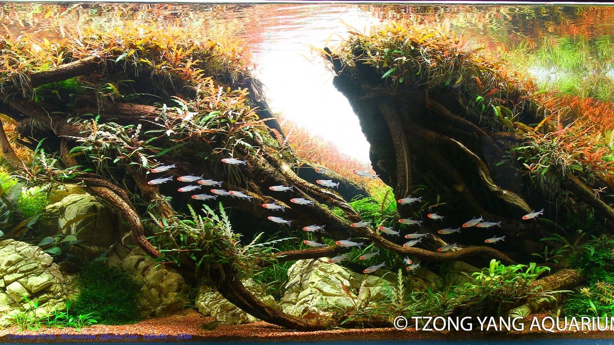 1 место 2018г - Малайзия - Джош Сим - Судьба -> 320л