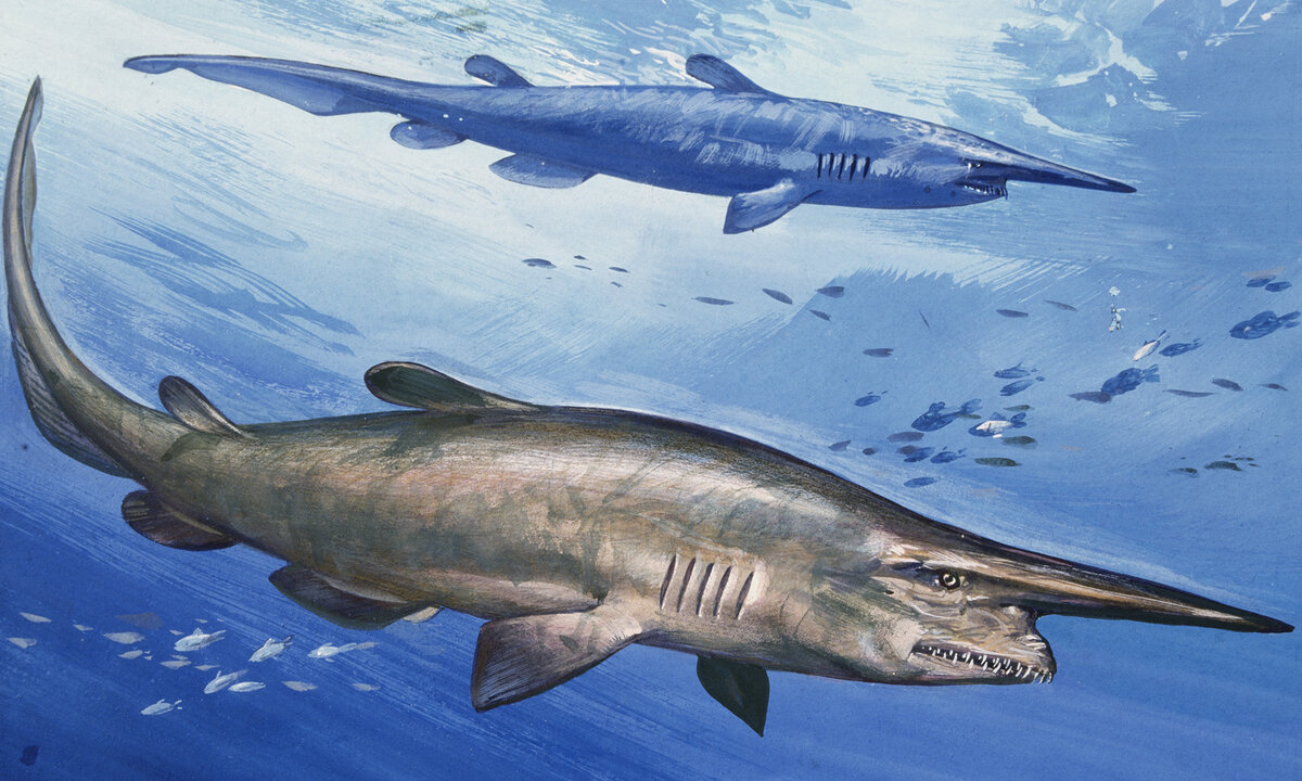 Взята в свободном доступе. 