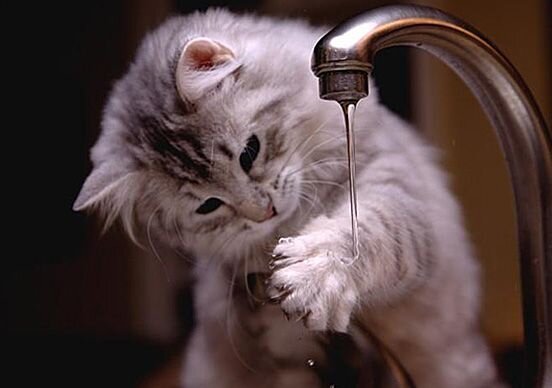 фото: pinterest.com