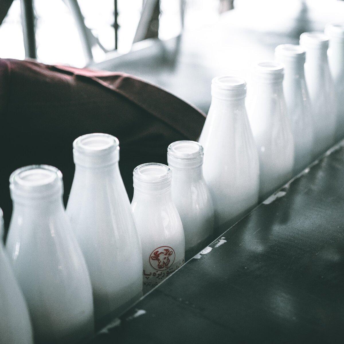 Отличаем натуральную молочную продукцию от подделки
