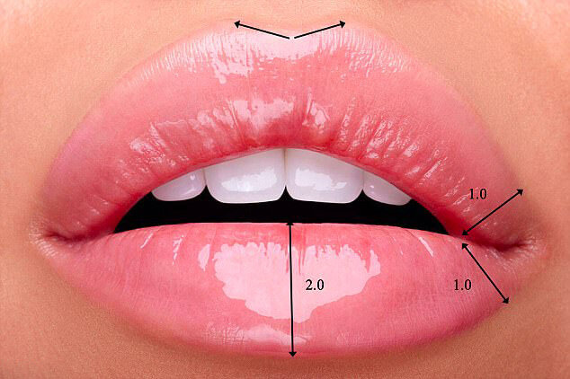 Нравятся ли мужчинам большие половые губы? Какие половые губы больше нравятся мужчинам?