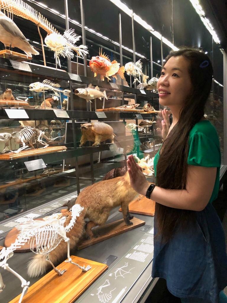 КУДА СХОДИТЬ БЕСПЛАТНО В БАРСЕЛОНЕ?

Вчера был бешеный день, потому что именно по воскресеньям с 15:00 часов можно посетить несколько музеев бесплатно, либо каждое первое воскресенье с самого открытия. Хотелось конечно успеть все-все-все, но получить только 4, о которых сейчас я и расскажу:
⠀
- Музей истории Барселоны (Museu D’Història de Barcelona) - экспозиция располагается в подземном этаже и представляет собой элементы, найденые при археологических раскопках. Показаны древние винодельни, части защитных сооружений, колодцев и канализаций. На следующих, наземных этажах, рассказывается история развития города, представлены сохранившиеся изделия и макеты освоения территории;
⠀
- Музей Фредерика Мареса (Museu Frederic Marès) - музей известного барселонского скульптора и коллекционера. На нескольких этажах представлено множество работ самого автора, а также его многочисленных коллекций. Складывается впечатление, что увлекался он всем и собирал все, от игральных карт, часов и тростей до скульптур;
⠀
- Музей музыки (Museu de la Música de Barcelona) - настоящий рай для музыкантов. Экспозиция рассказывает эволюцию и развитие музыки и как вместе ней менялись музыкальные инструменты вплоть до электрогитар и синтезаторов;
⠀
- Музей естественных наук (Museu de Ciències Naturals de Barcelona) - тут проводятся временные тематические выставки. Постоянная экспозиция посвящена эволюции человека и животного мира, понравилась часть о классификации животных и растений, и секция геологии).
⠀
А также, в любой другой день, можно сходить бесплатно:
⠀
- Дворец де ла Вирреина (Palau de la Virreina) - одна и достопримечательностей бульвара Рамбла. Примечателен не только как архитектурный памятник, но и выставками современного искусства и фотографий;
⠀
- Собор Святого Креста и Святой Евлалии (Catedral de Barcelona) - в 18:00 начинается служба, которую тоже бы порекомендовала послушать и посмотреть, как тут это делается, весьма необычно, после, выйти во внутренний чудесный дворик, посмотреть на 13 гусей обитающих здесь. 13 их в честь 13-летней девочки Евлалии погибшей за исповедование христианства, ее имя и носит собор. В другое время стоимость - 7 евро.

#путешествия #ВиталияХон_Испания