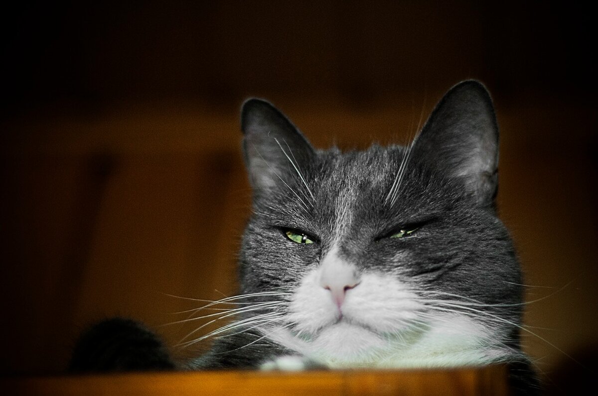 А эта дама - весьма самодостаточна