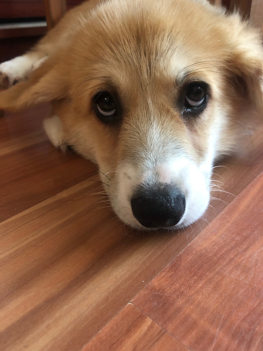 Ну дай колбасочки