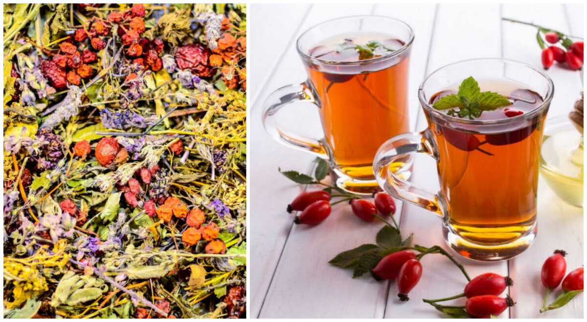 5 рецептов полезных успокаивающих травяных чаев