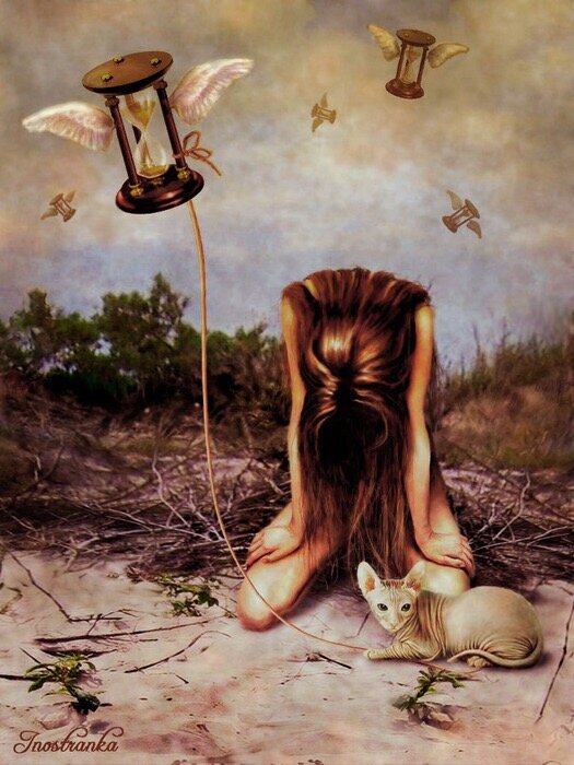 Изображение из открытого источника 