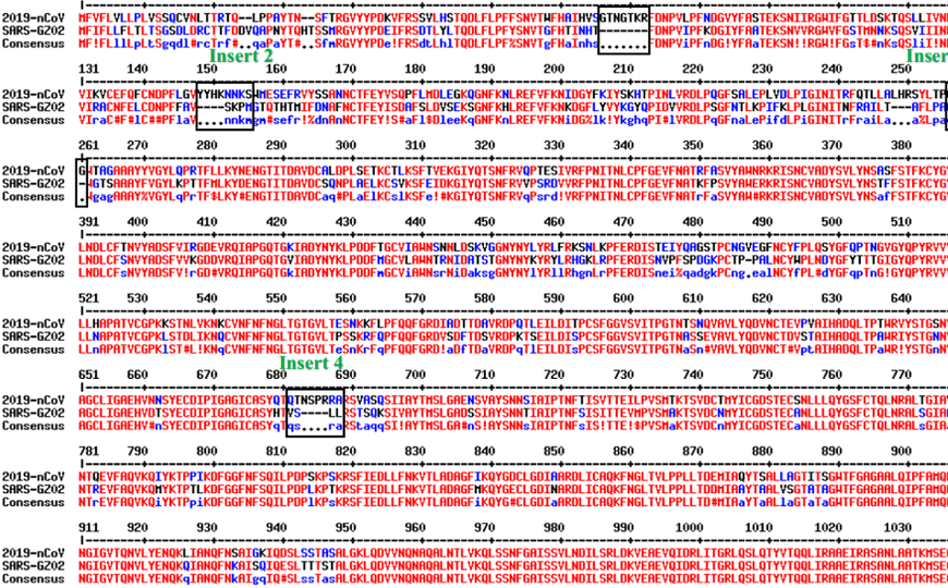 Ученые обнаружили 4 вставки в белке гликопротеина коронавируса, которые являются уникальными для 2019-nCoV и отсутствуют в других коронавирусах. Более того, аминокислотные остатки во всех 4 вставках имеют идентичность или сходство с остатками в белках gp120 ВИЧ-1 или Gag ВИЧ-1 — ключевых структурных белках вируса иммунодефицита человека.
