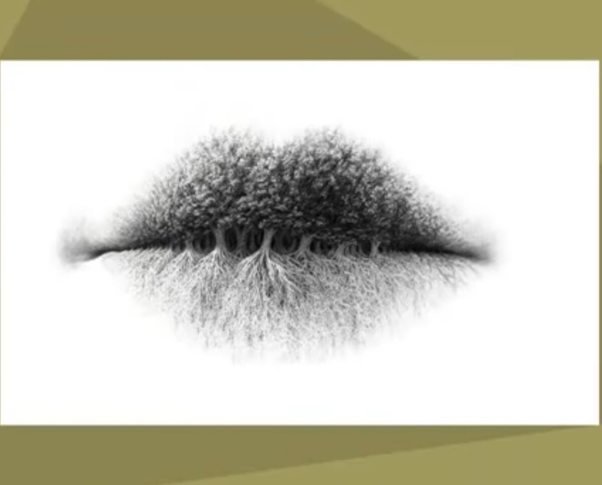 Что первое ты увидел?