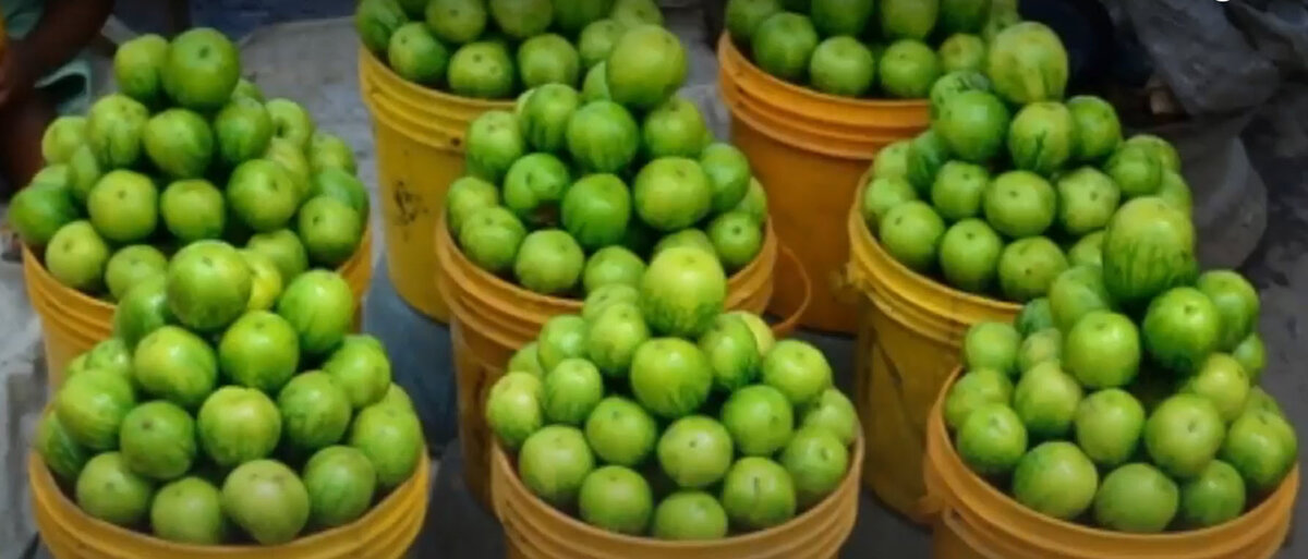 Садовое яйцо 