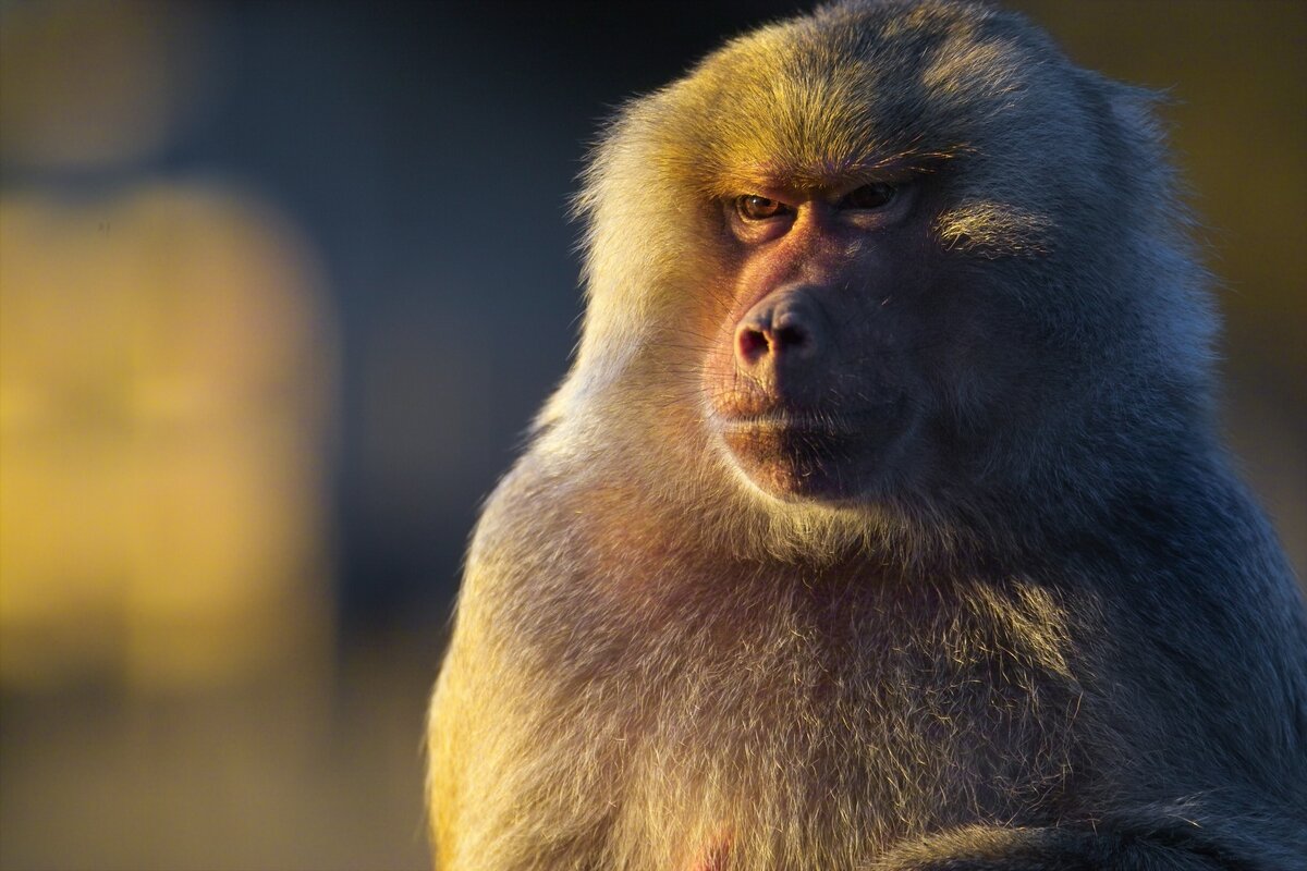 Хорошо, хоть к внешности пока претензий не было. Этого - точно не перенесу!!!