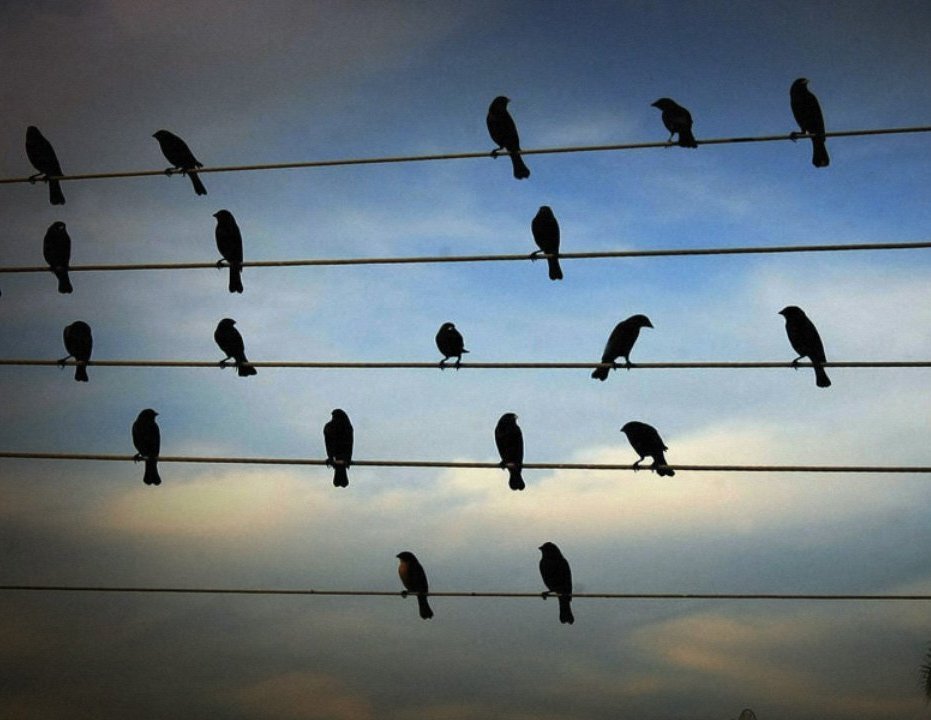 Фото из открытого источника