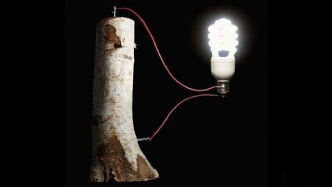 Как получить электричество из ничего? | Постапокалипсис. Выживание. | Дзен