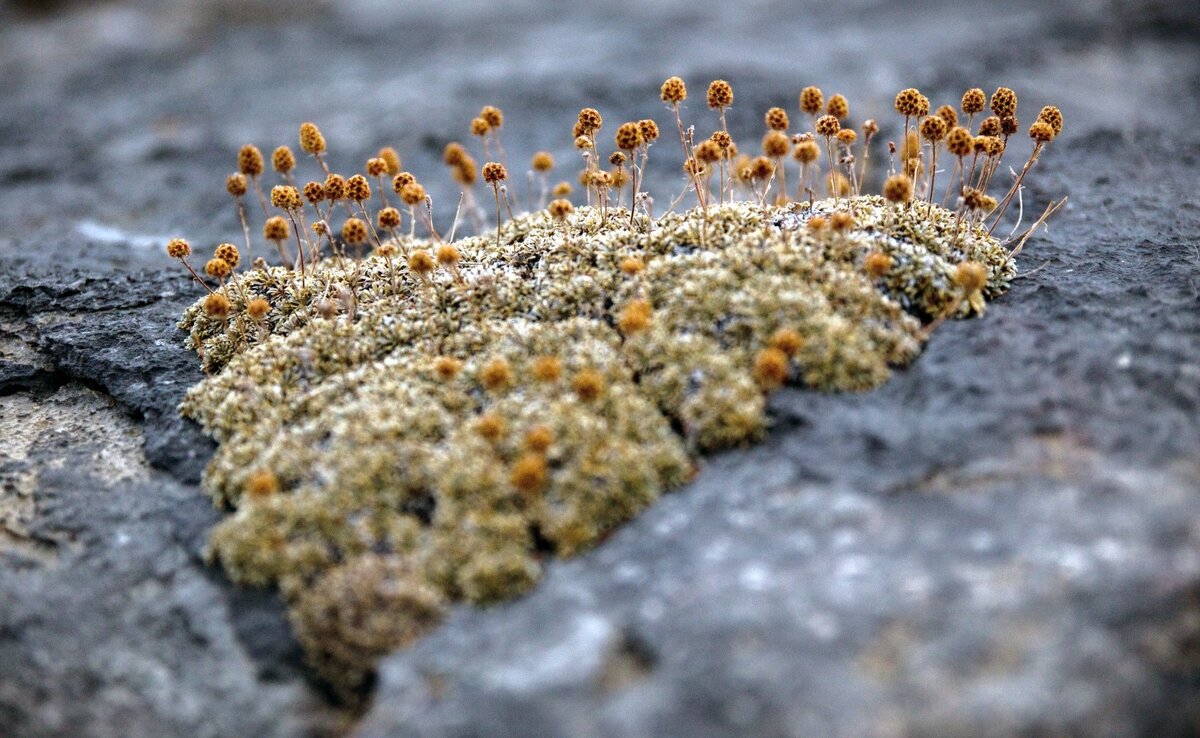 Фото: unsplash.com