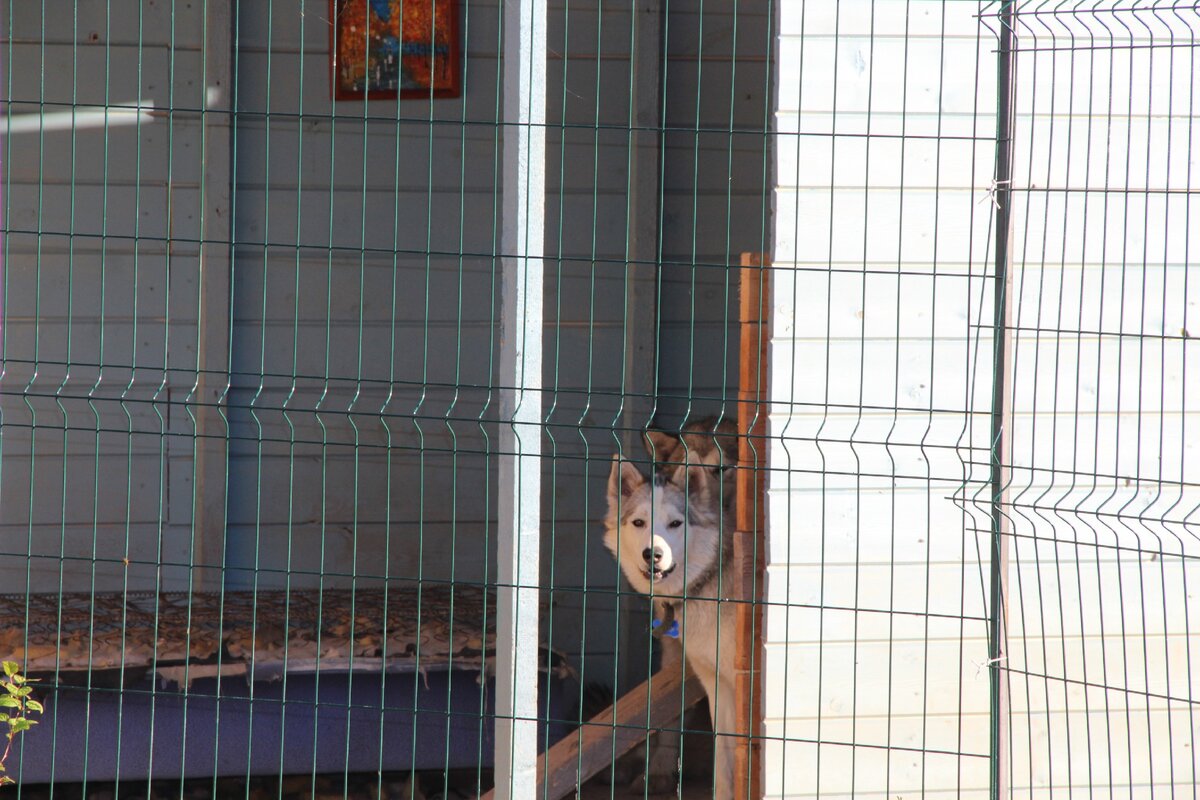 - Чё пришли?