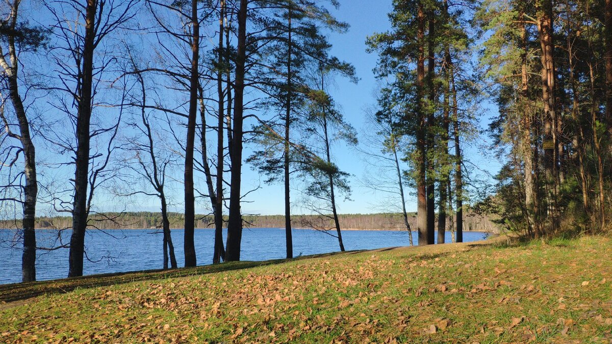 Озеро ноябрь