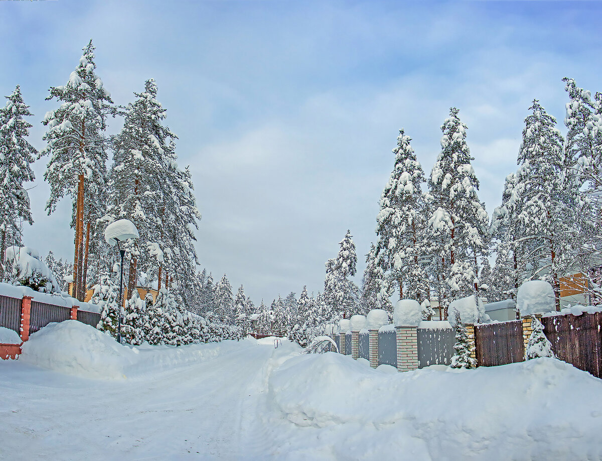 фото из личных архивов автора статьи