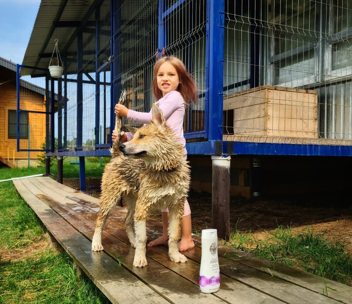 Дочь, 4 года — помогатор #1