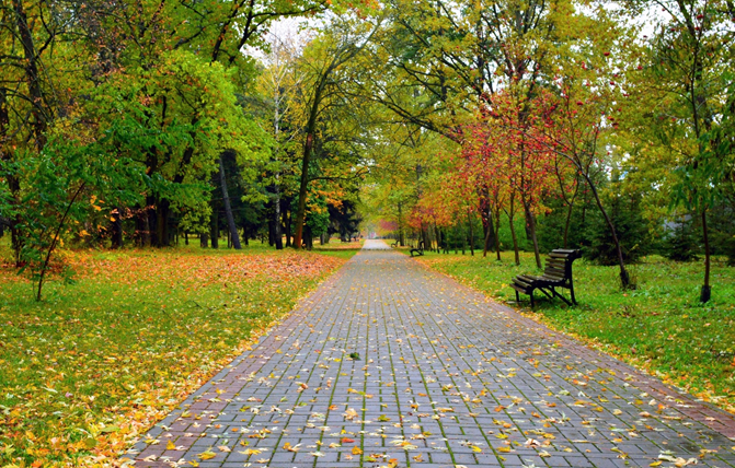 Фото из коллекции Яндекс.Картинки