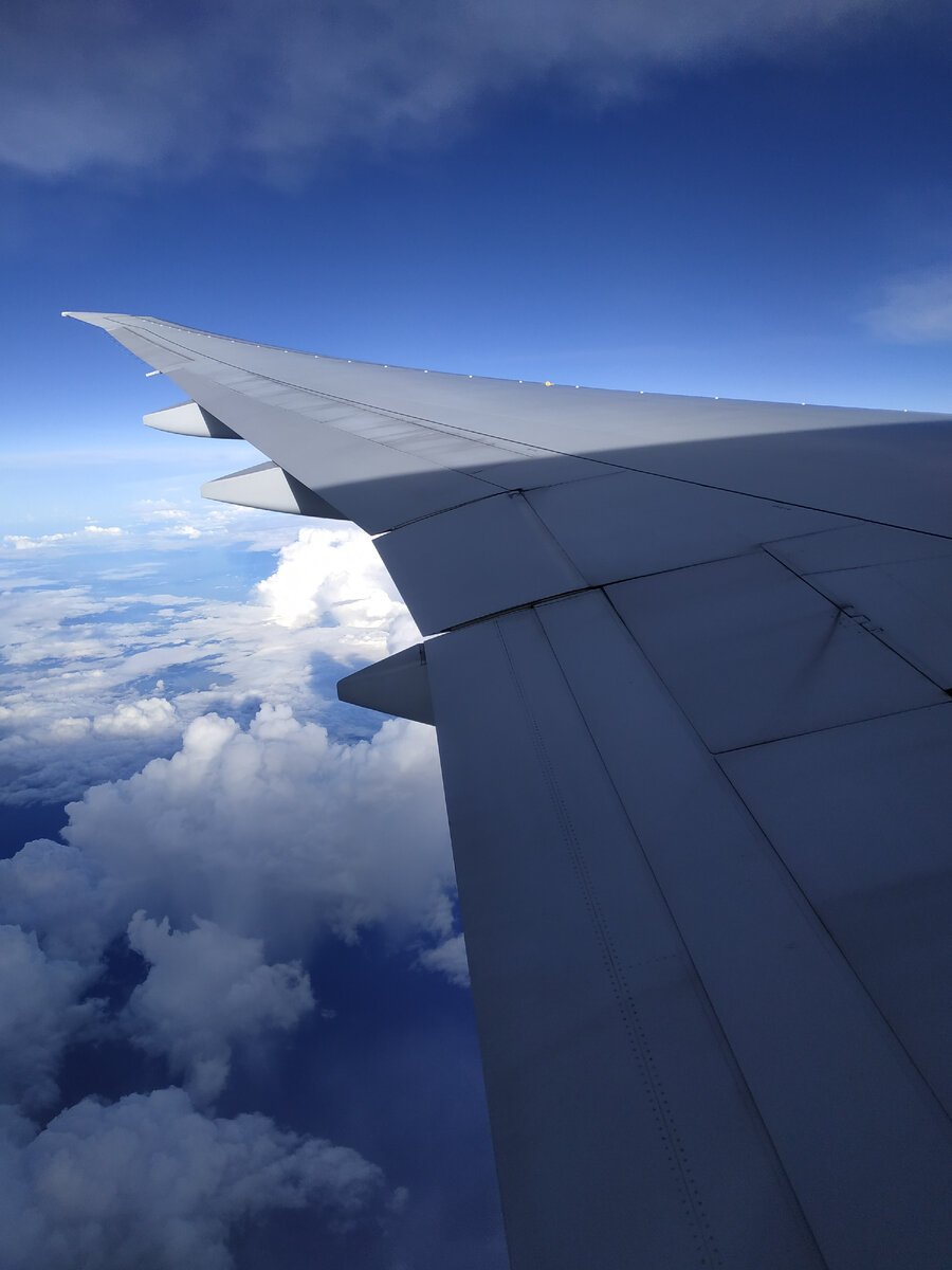 Крыло Боинга 777. Где-то над Атлантикой