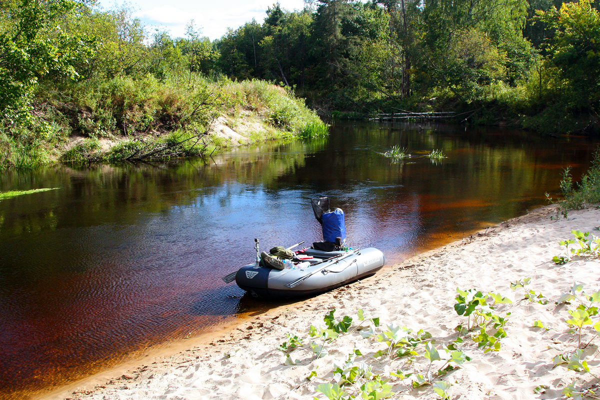 Фото автора © Дмитрий Куксин
