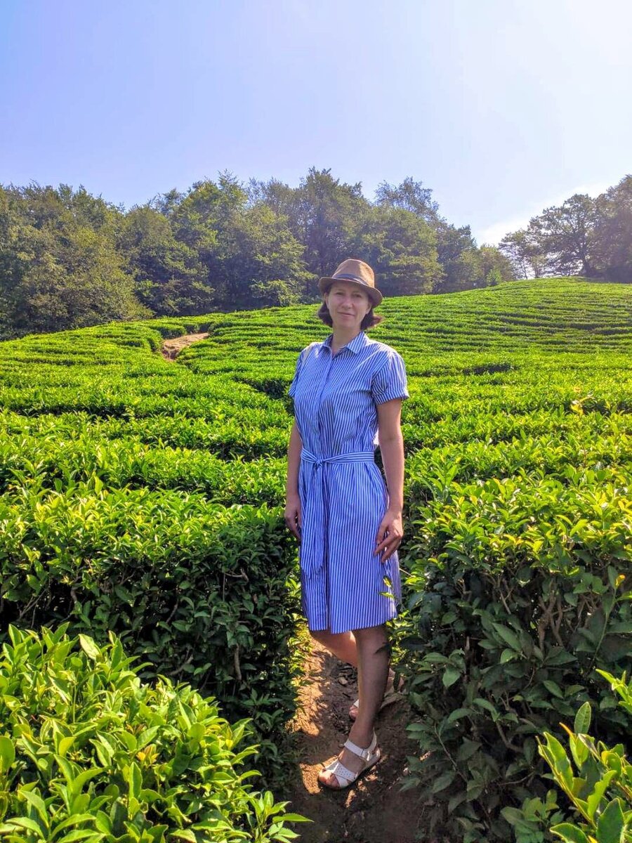 Чайные плантации находятся на склонах гор в экологически чистых местах. Мы с дочерью побывали там.