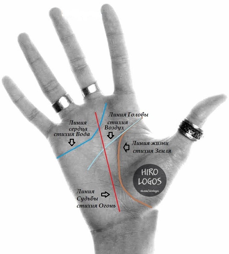 Главные линии на руке