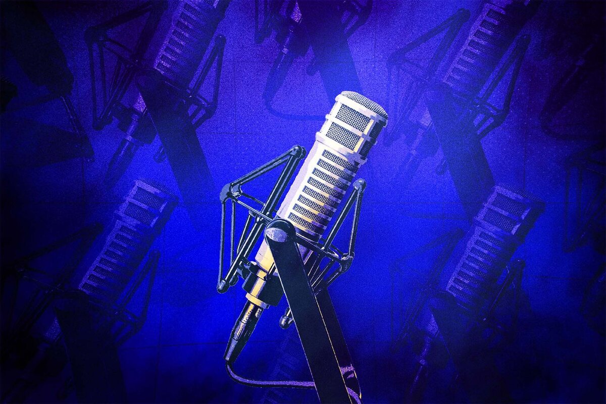 Project Mic