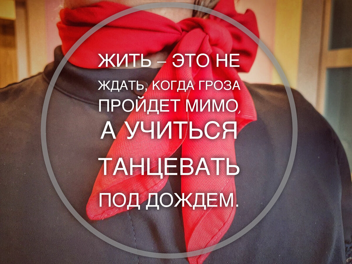 Цитата из книги