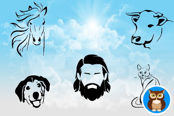 Коллаж автора  из фото Pixabay