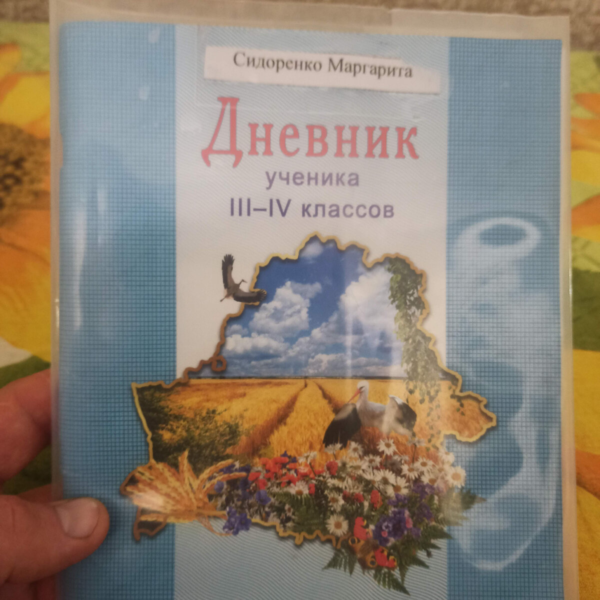 Качество образования белорусских и российских школьников можно оценить по  количеству медалей на международных олимпиадах в 2021 | ПАПА АНДРЕЙ | Дзен