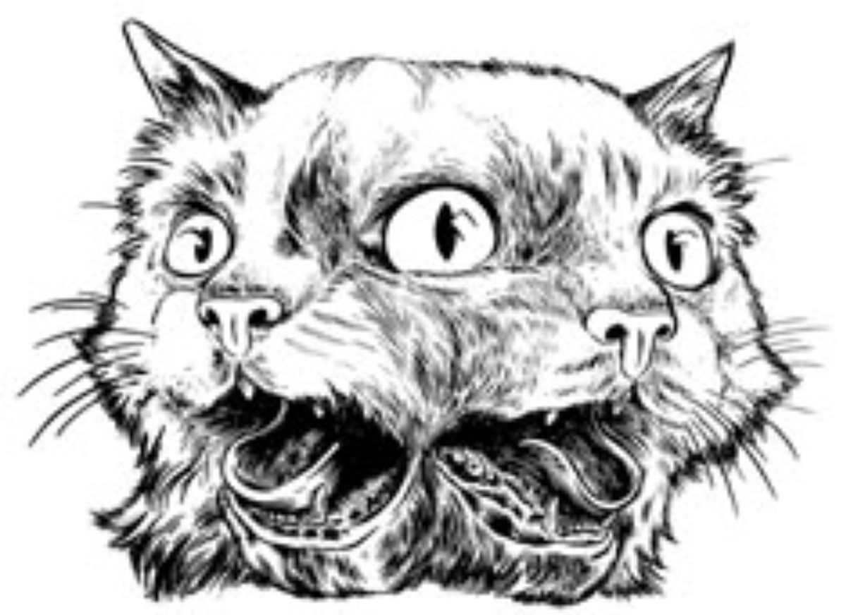 фото из интернета