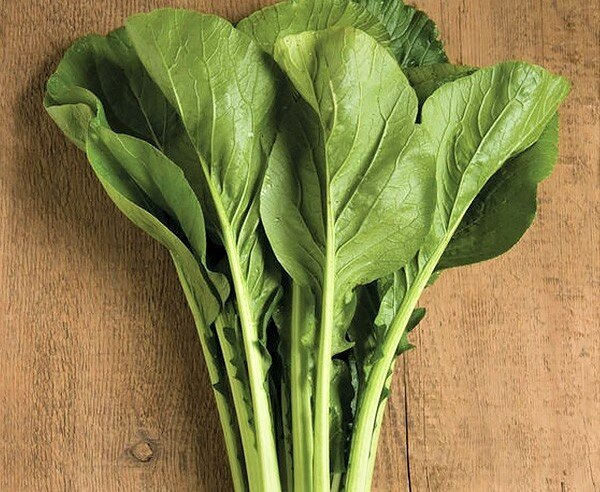 Из комацуны можно приготовить удивительно вкусные диетические салаты 