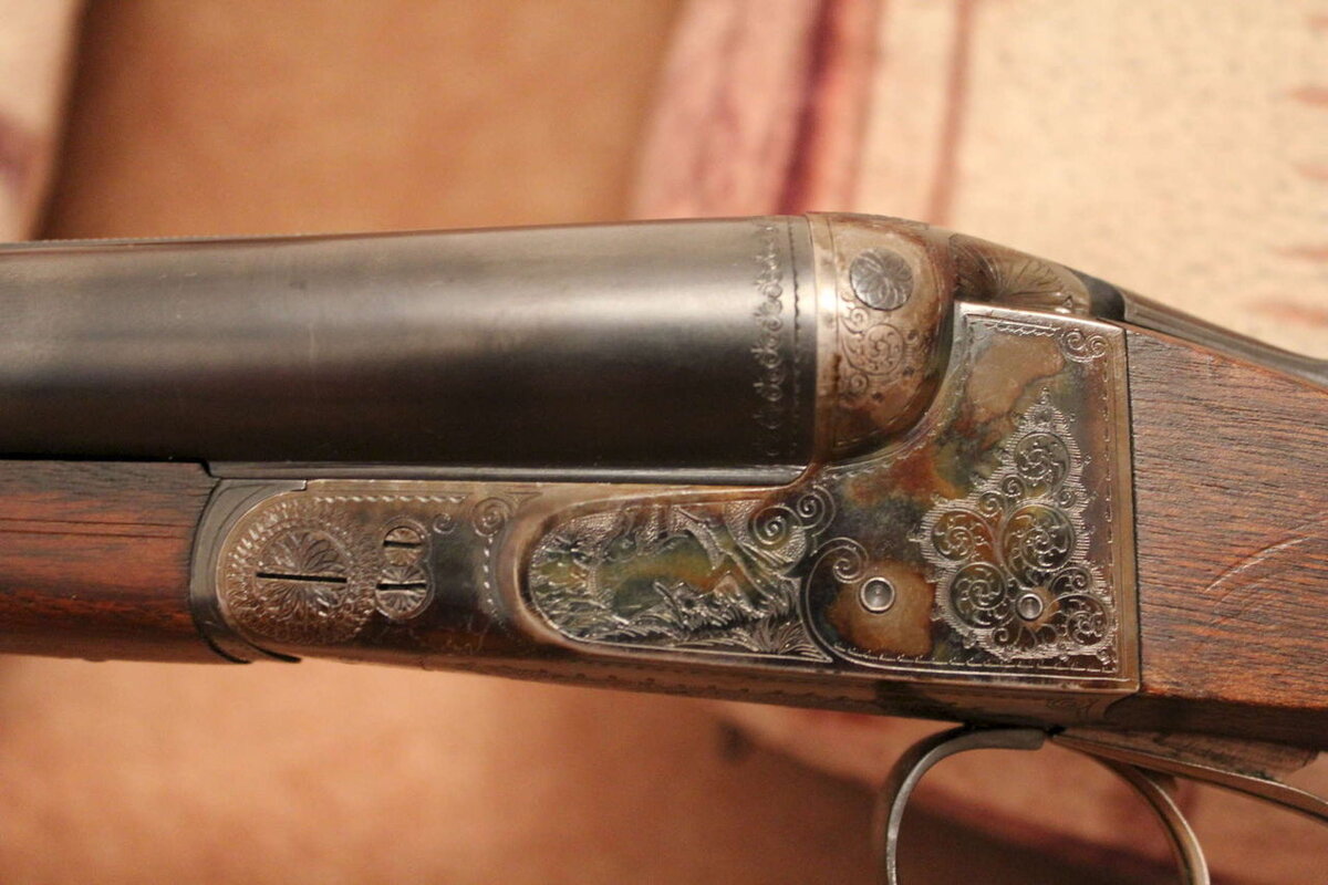 иж 54 ружье