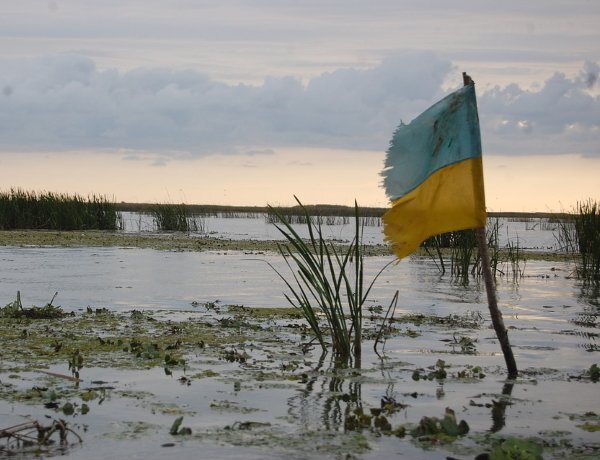 Эскалация напряженности в отношениях между Россией и Украиной будет ощущаться на многих рынках, от цен на пшеницу и энергоносители до защитных активов.