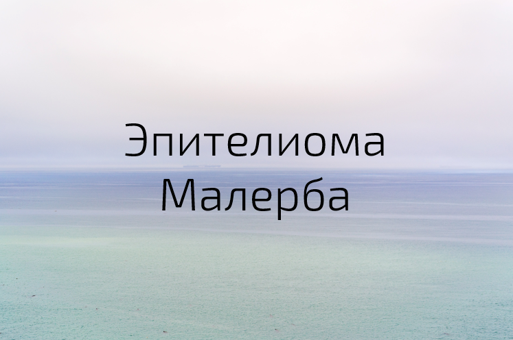 Photo by Sergei A on Unsplash 