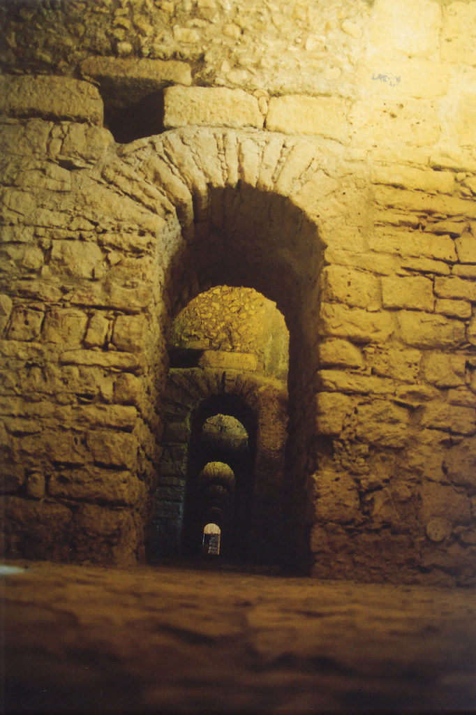 Криптопортика Эминия,  Коимбра, Португалия. Источник: https://fr.wikipedia.org/wiki/Aeminium#/media/Fichier:Coimbra-Criptoportico.jpg