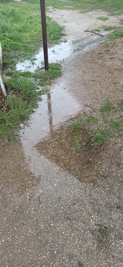 Вот где нет травы - там лужи(