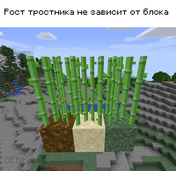 Читер 228