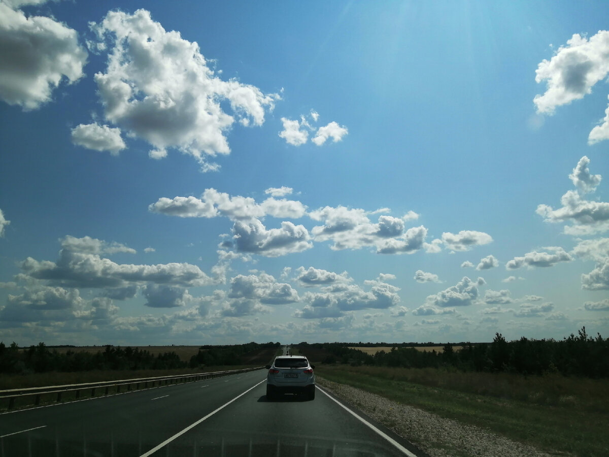 Дорога Саратов-Волгоград