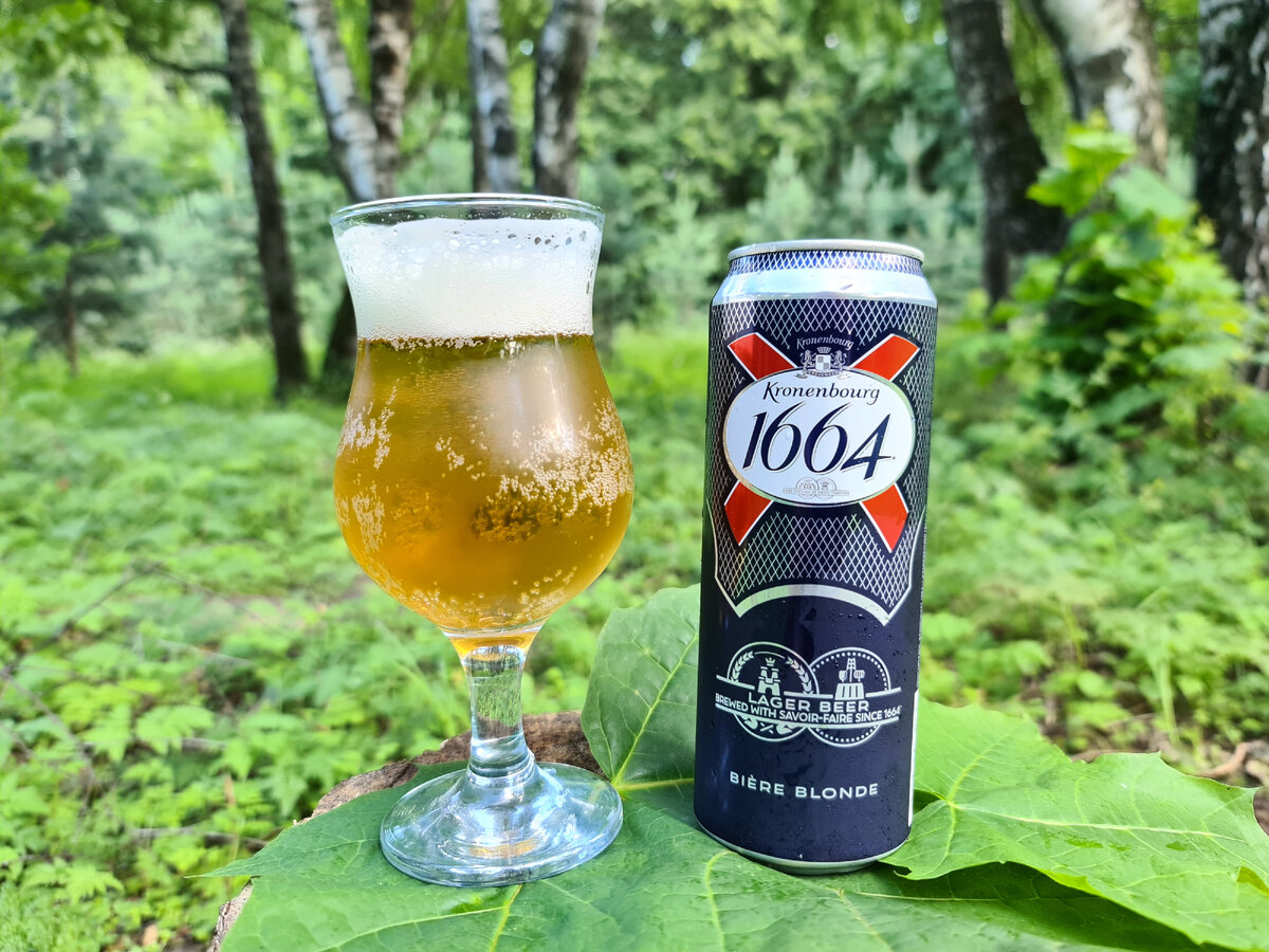 Балтика сварила новое пиво? Обзор Kronenbourg 1664 Blonde | Beer & Travel |  Дзен