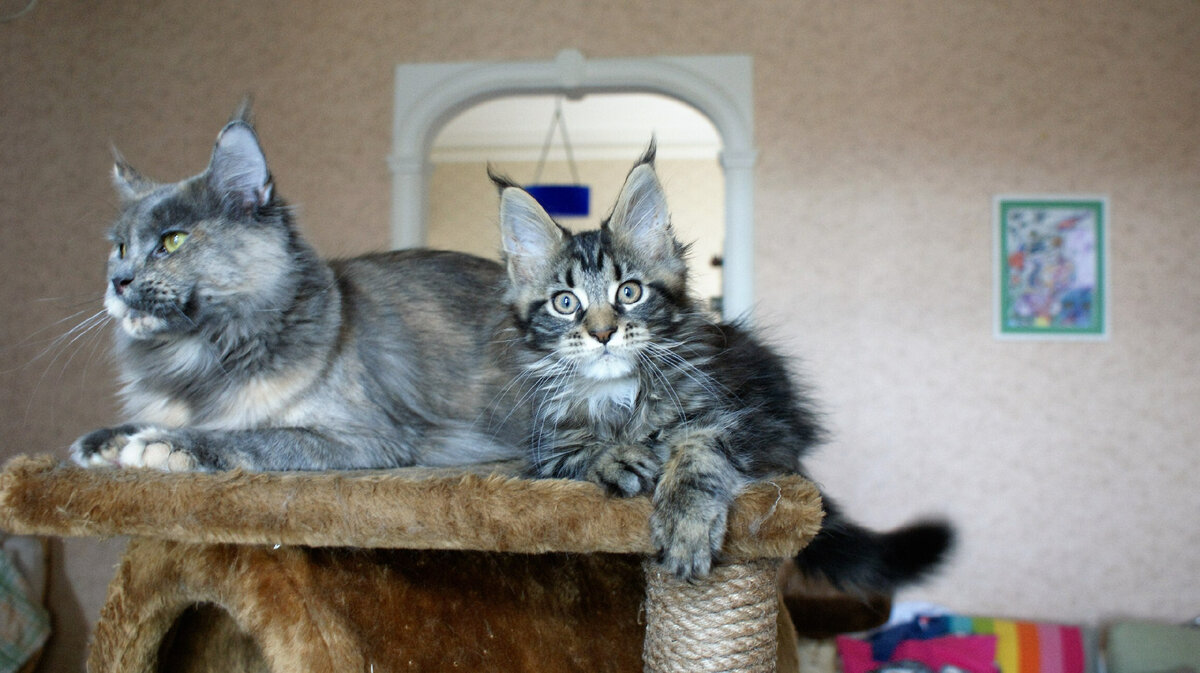 Фото из личного архива.