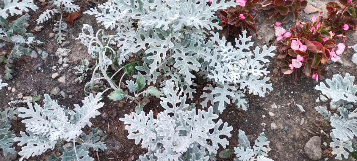 Фото автора канала