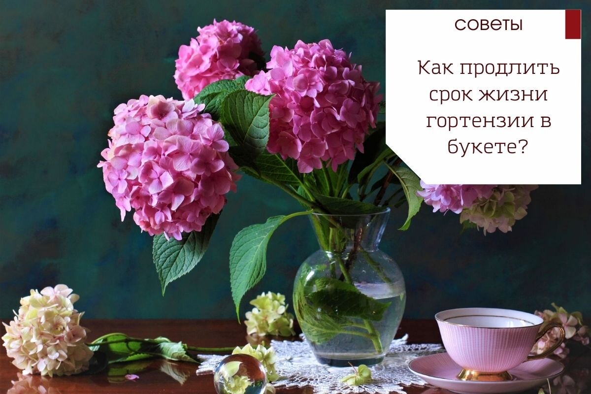 Пионы и гортензии в вазе Юлии Мадудиной