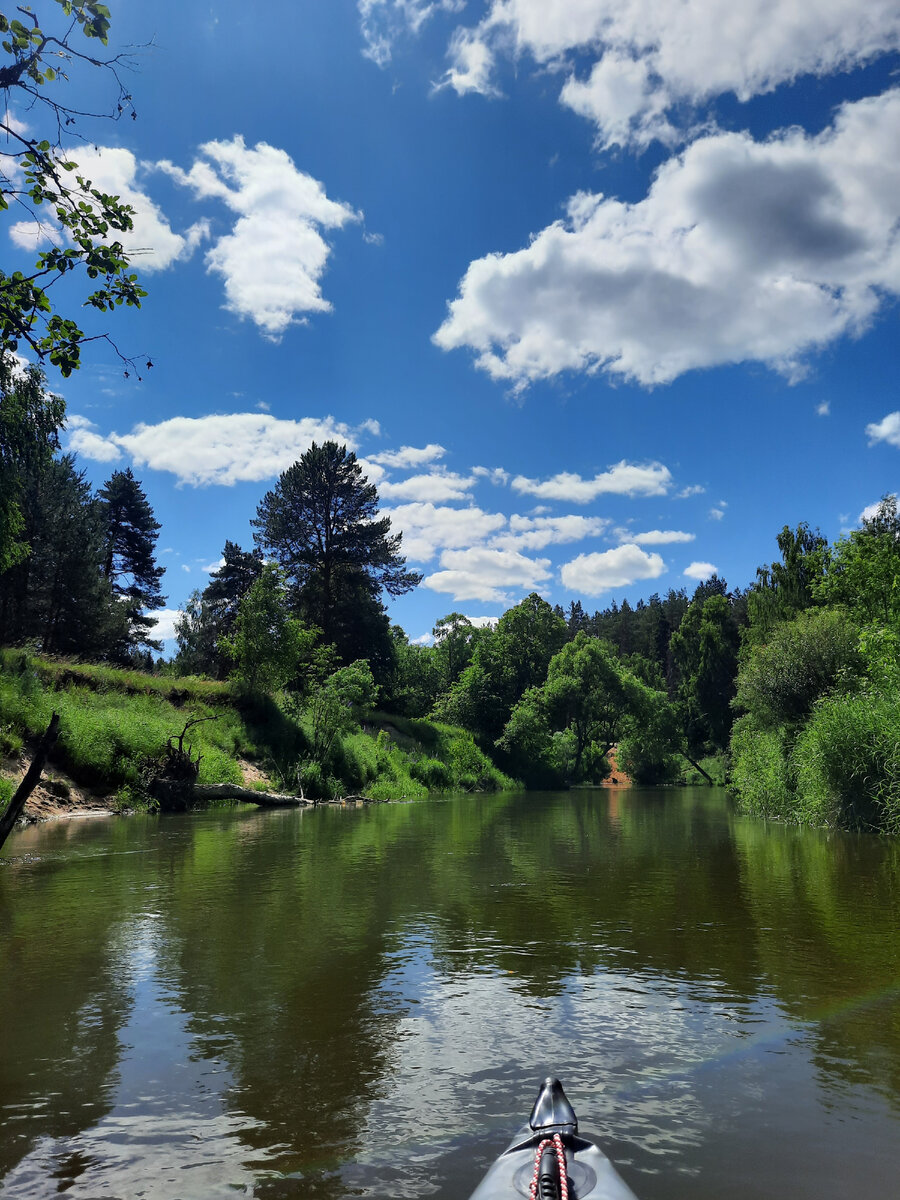 Любопытный шуйский нос