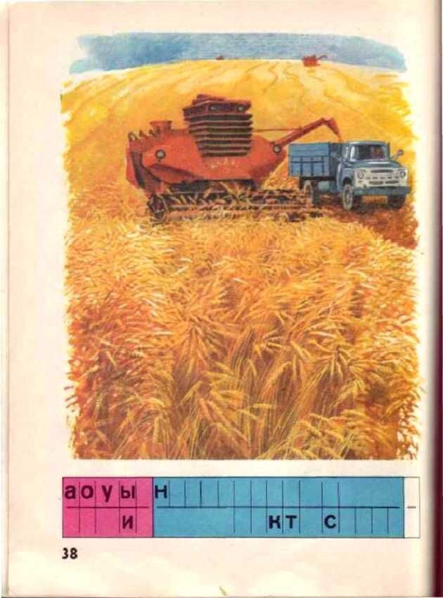      Доктор педагогических наук Всеслав Горецкий построил свой букварь не согласно алфавиту, а по частоте употребления букв в речи и на письме: открывали книгу «а» и «о», а закрывали «ь» и «ъ».-20-2