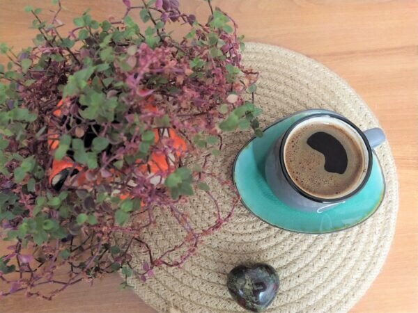    Фото: Екатерина Иванова. UG.RU