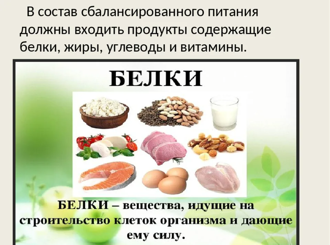 Питание белки жиры углеводы витамины